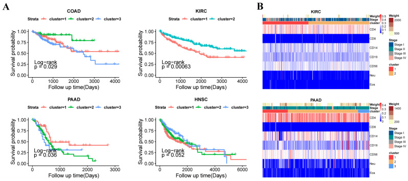 PMC11855777 – genes-16-00160-f004