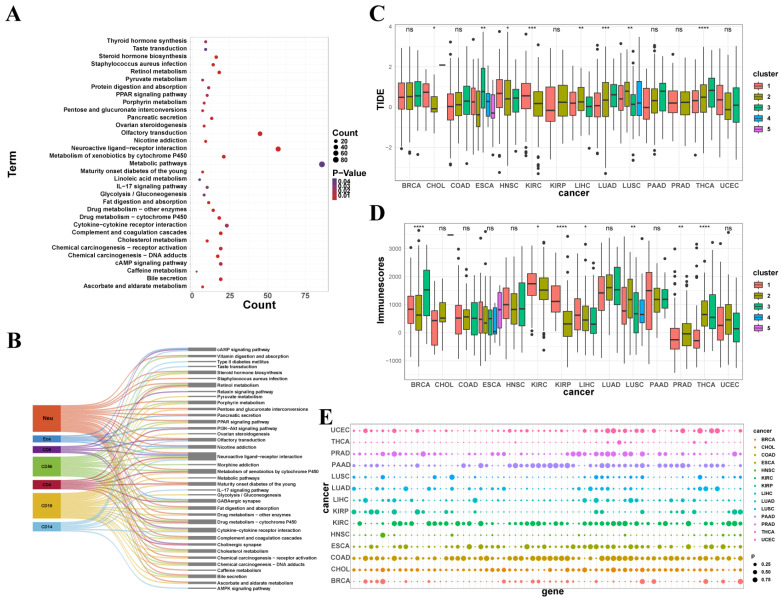 PMC11855777 – genes-16-00160-f005
