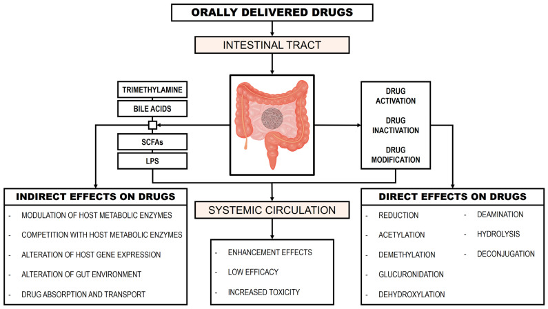 PMC12027173 – genes-16-00403-f002