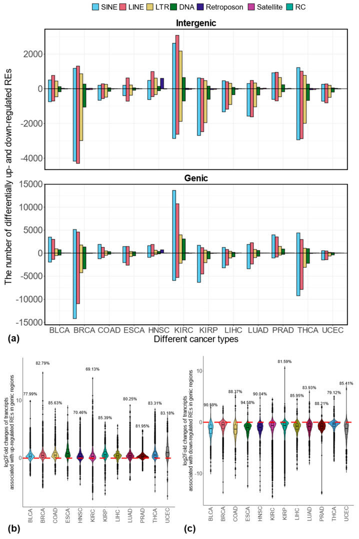 PMC12111754 – genes-16-00528-f001