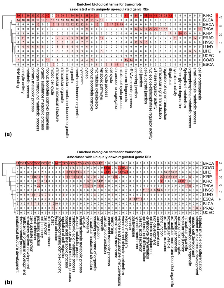 PMC12111754 – genes-16-00528-f003