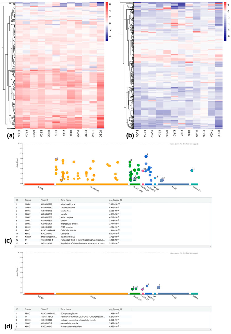 PMC12111754 – genes-16-00528-f005