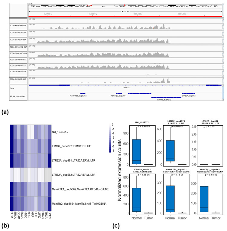 PMC12111754 – genes-16-00528-f006