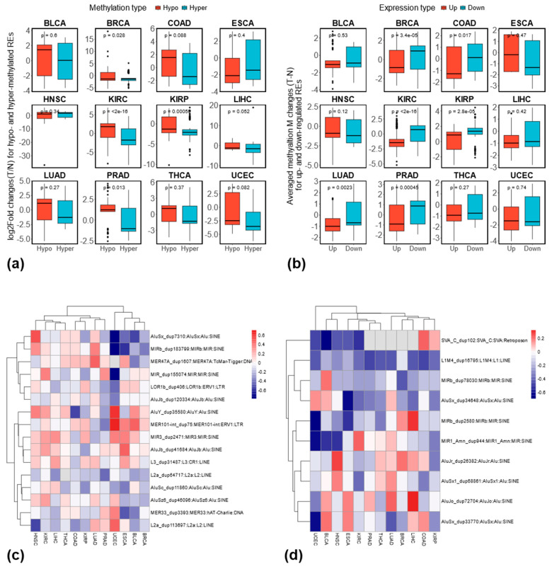 PMC12111754 – genes-16-00528-f007