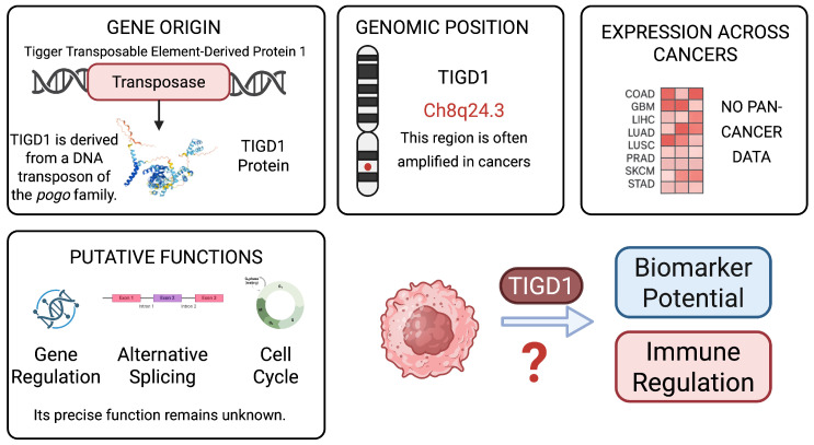 PMC12192532 – genes-16-00674-f001