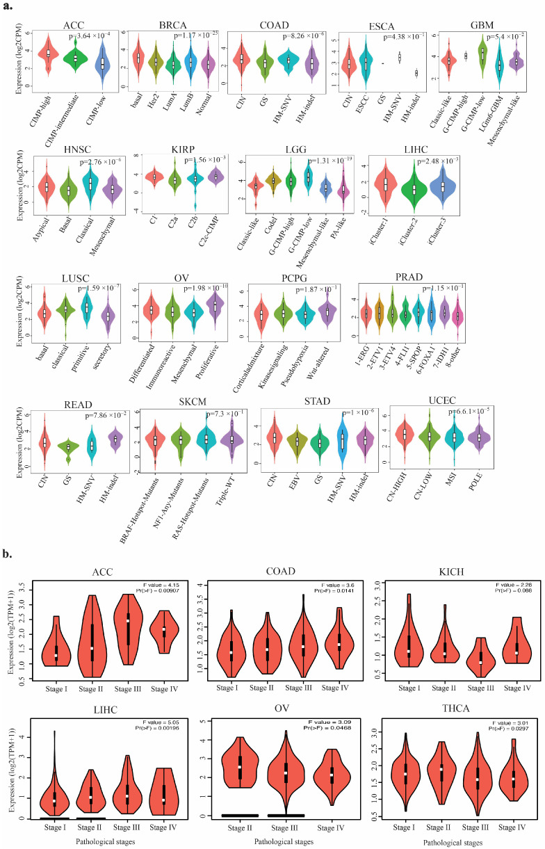 PMC12192532 – genes-16-00674-f003