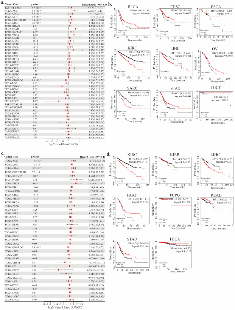 PMC12192532 – genes-16-00674-f005