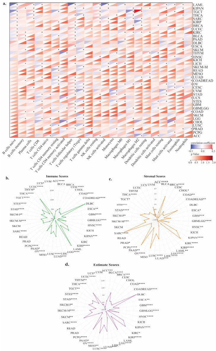 PMC12192532 – genes-16-00674-f007