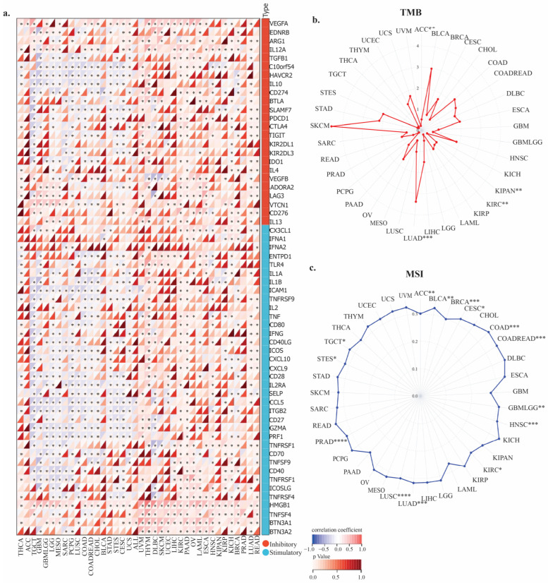 PMC12192532 – genes-16-00674-f008