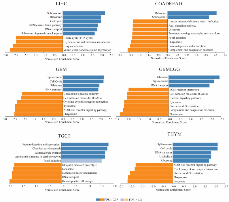 PMC12192532 – genes-16-00674-f009