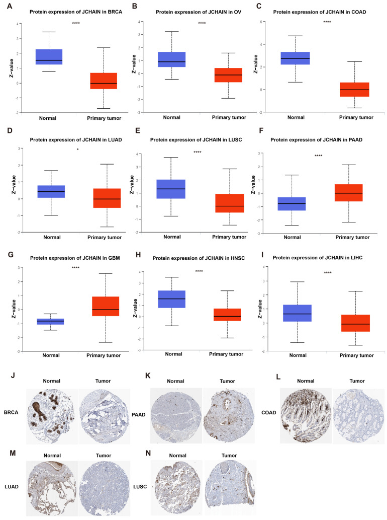 PMC12469470 – genes-16-01070-f002