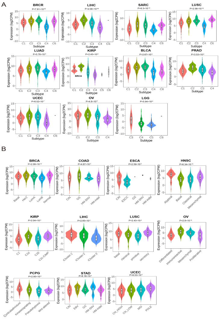 PMC12469470 – genes-16-01070-f003