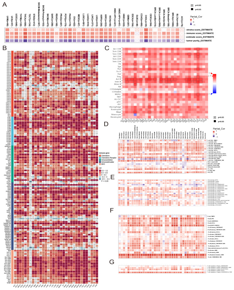 PMC12469470 – genes-16-01070-f006