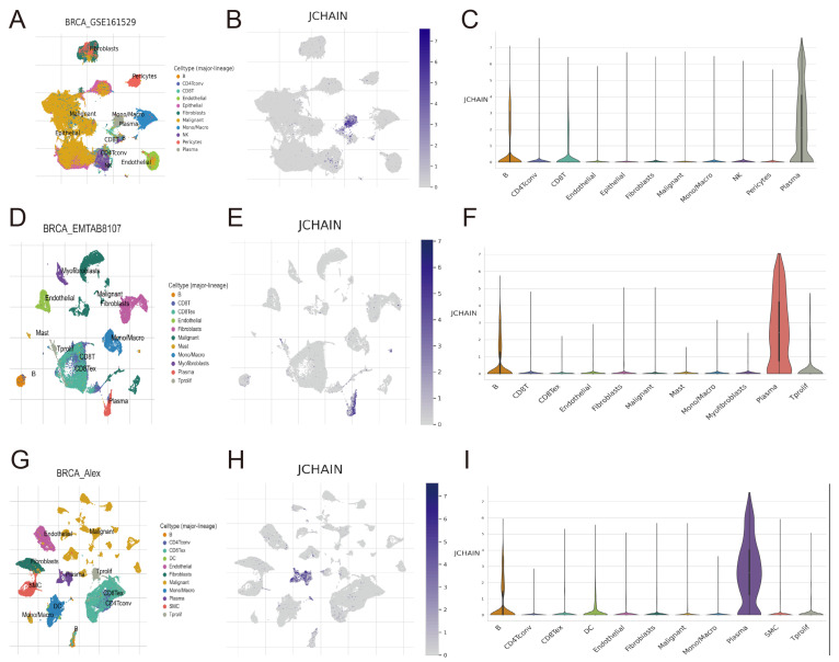 PMC12469470 – genes-16-01070-f010