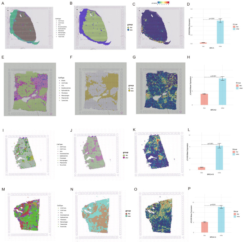 PMC12469470 – genes-16-01070-f011