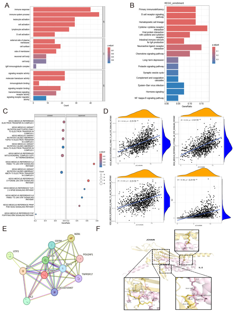 PMC12469470 – genes-16-01070-f012