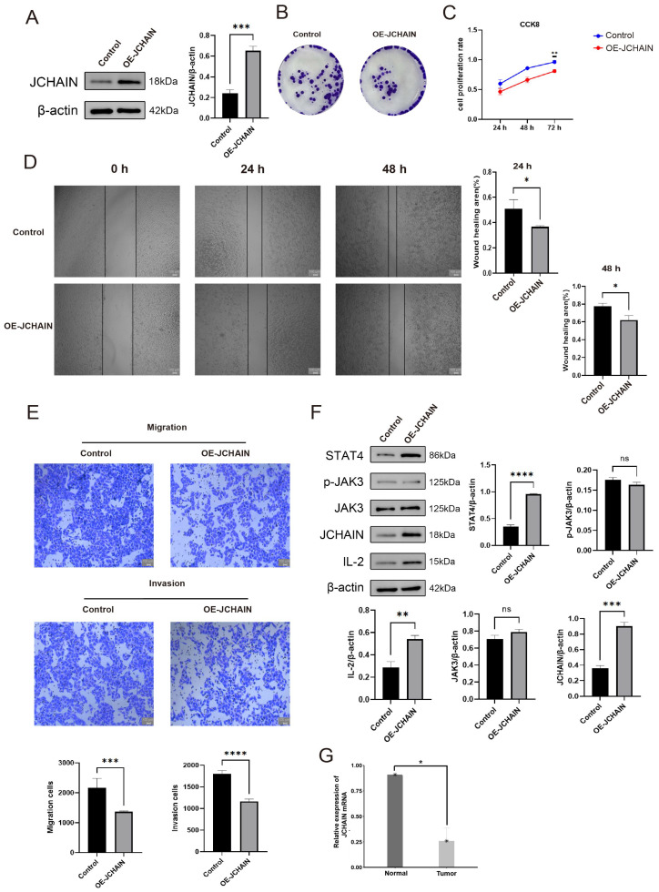 PMC12469470 – genes-16-01070-f013