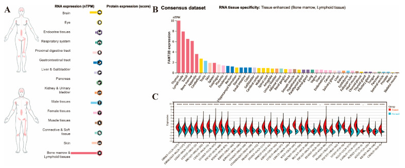 PMC12564144 – genes-16-01140-f001