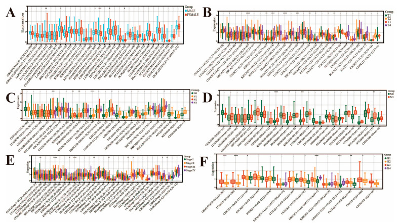 PMC12564144 – genes-16-01140-f002