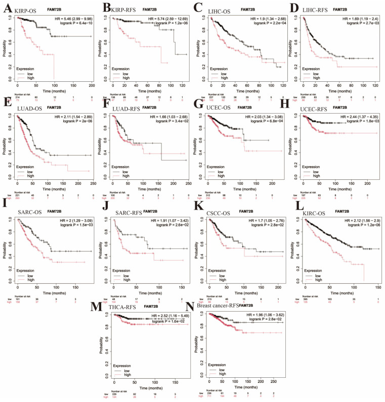 PMC12564144 – genes-16-01140-f004
