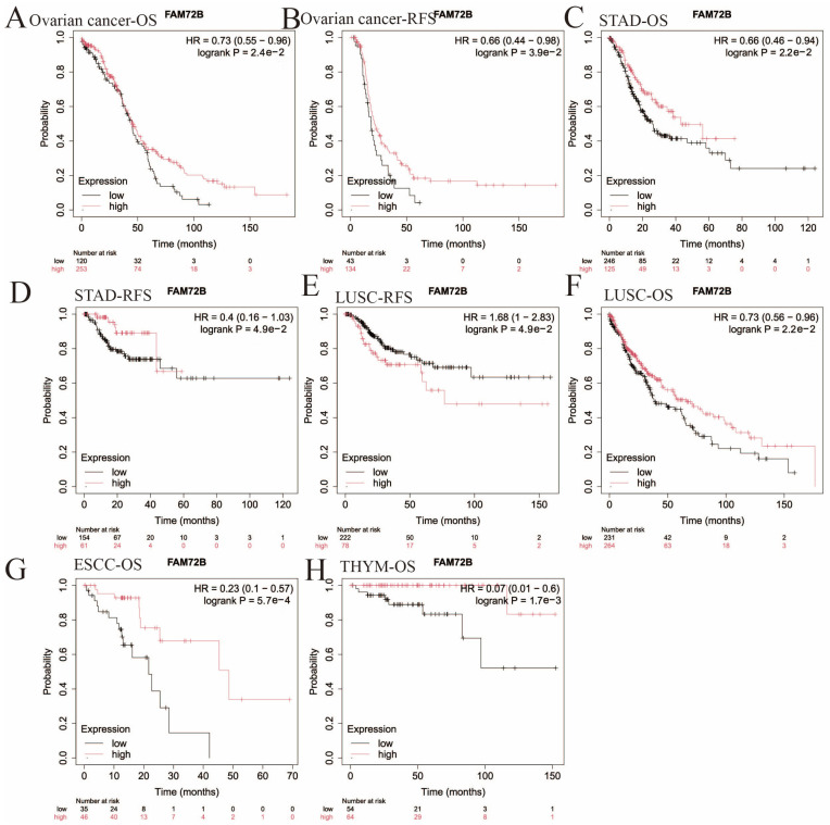 PMC12564144 – genes-16-01140-f005