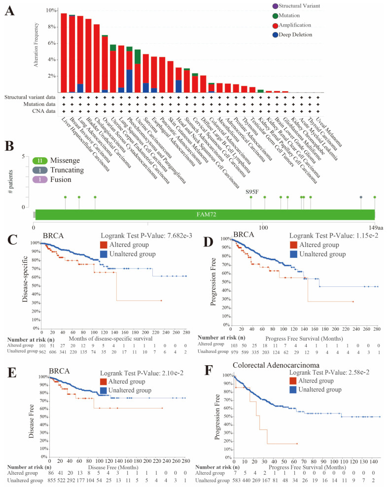 PMC12564144 – genes-16-01140-f006