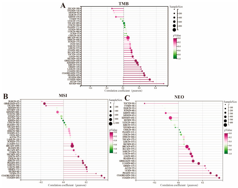 PMC12564144 – genes-16-01140-f007