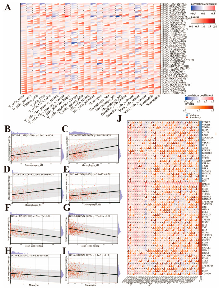 PMC12564144 – genes-16-01140-f008