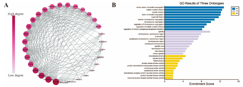 PMC12564144 – genes-16-01140-f009