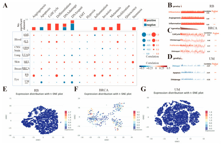 PMC12564144 – genes-16-01140-f010