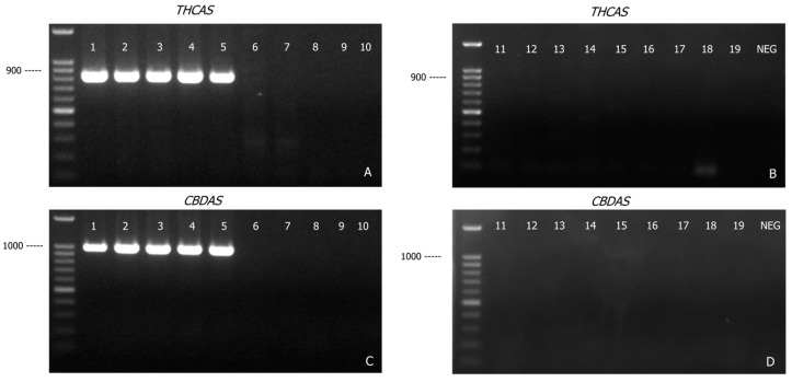 PMC12652481 – genes-16-01320-f002