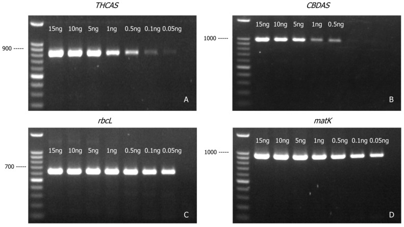 PMC12652481 – genes-16-01320-f003
