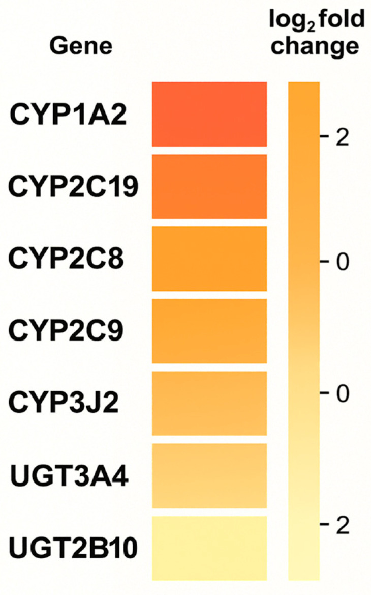 PMC12732823 – genes-16-01487-f002