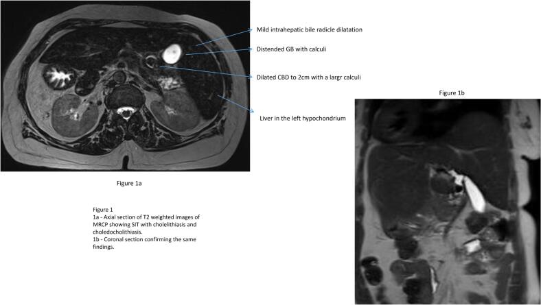 PMC12005859 – f0005