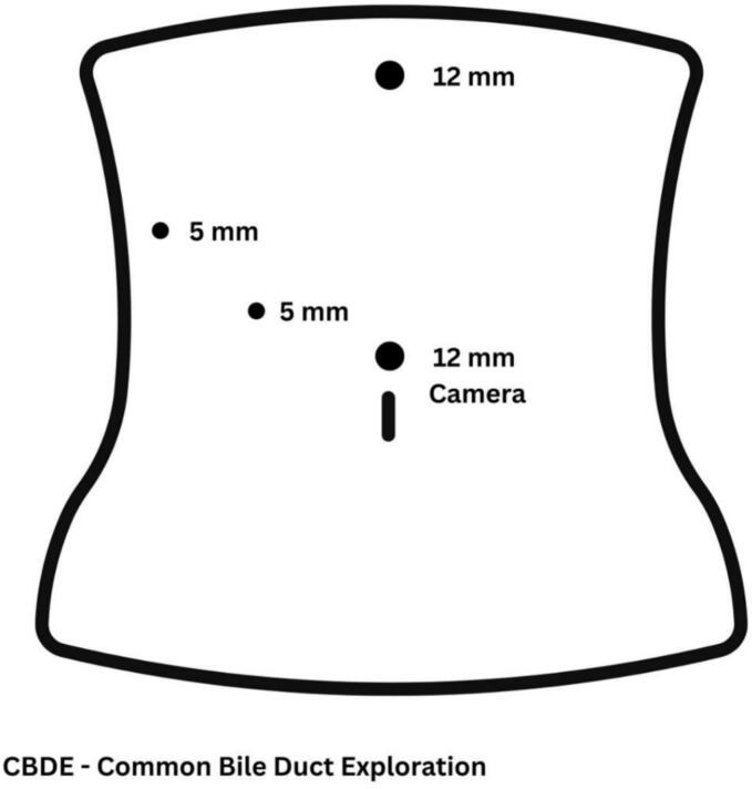 PMC12305313 – f0005