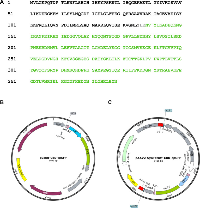 PMC9283500 – fig0001