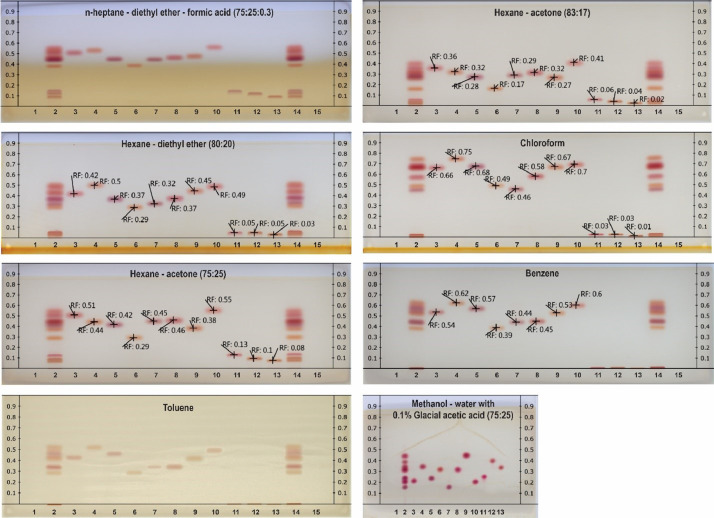 PMC7352075 – fig0001