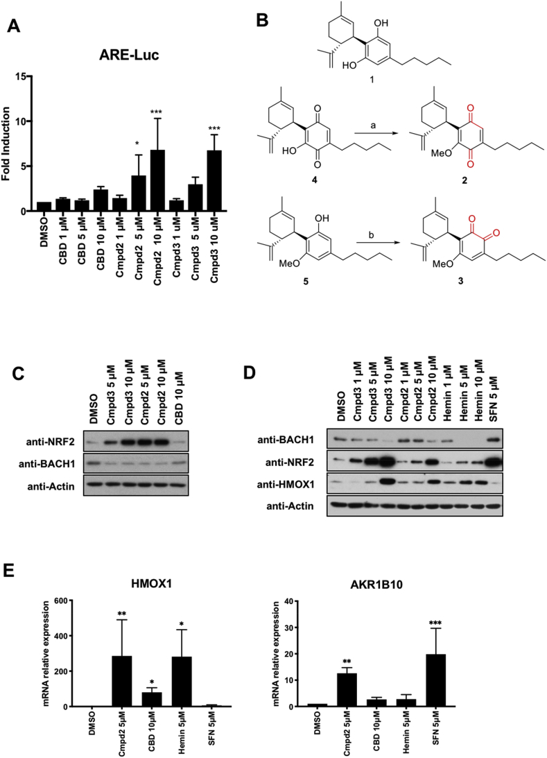 PMC7476313 – fig1