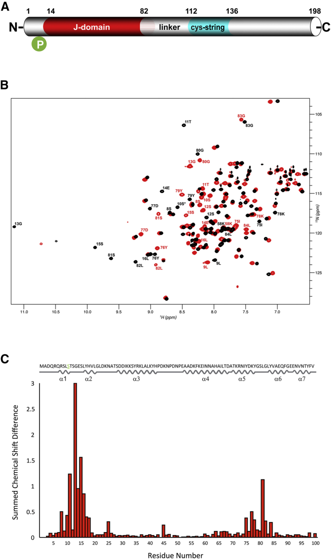PMC4975591 – fig1
