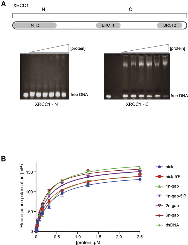 PMC6334254 – fig1