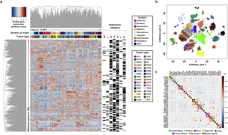 PMC7852311 – f0005