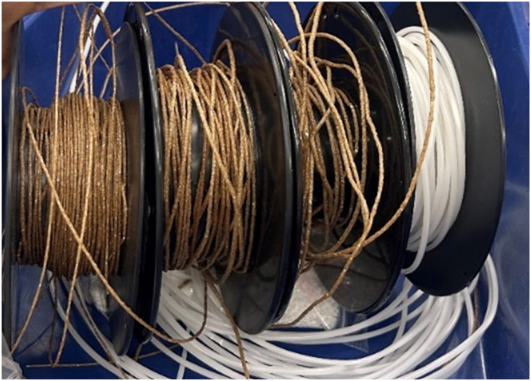 PMC10900766 – fig1