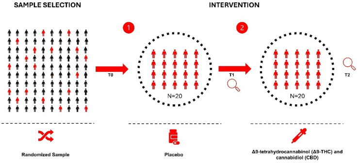 PMC12973522 – fig0001