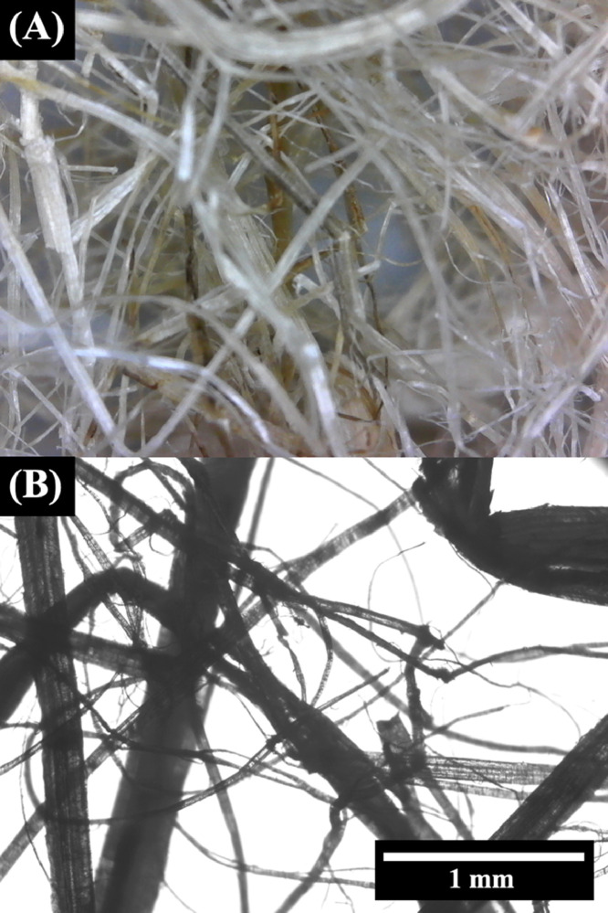 PMC8581495 – fig0001