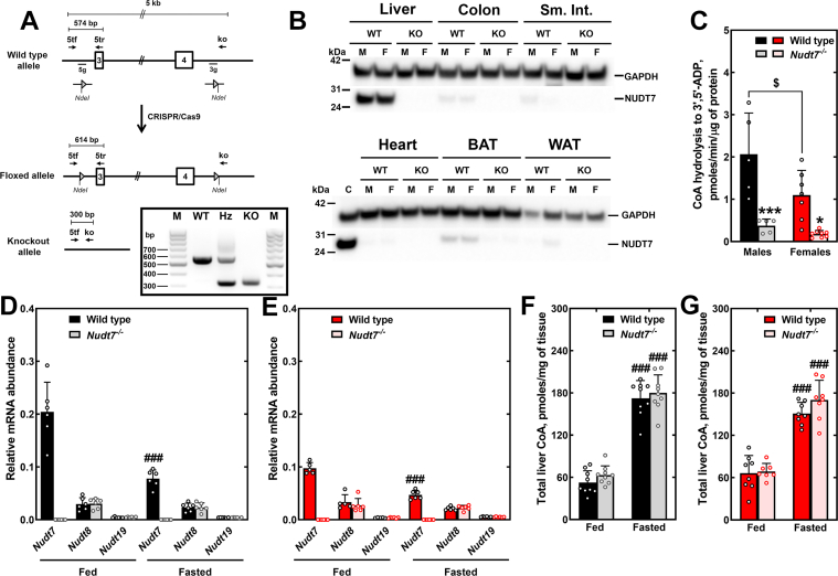 PMC9792899 – fig1