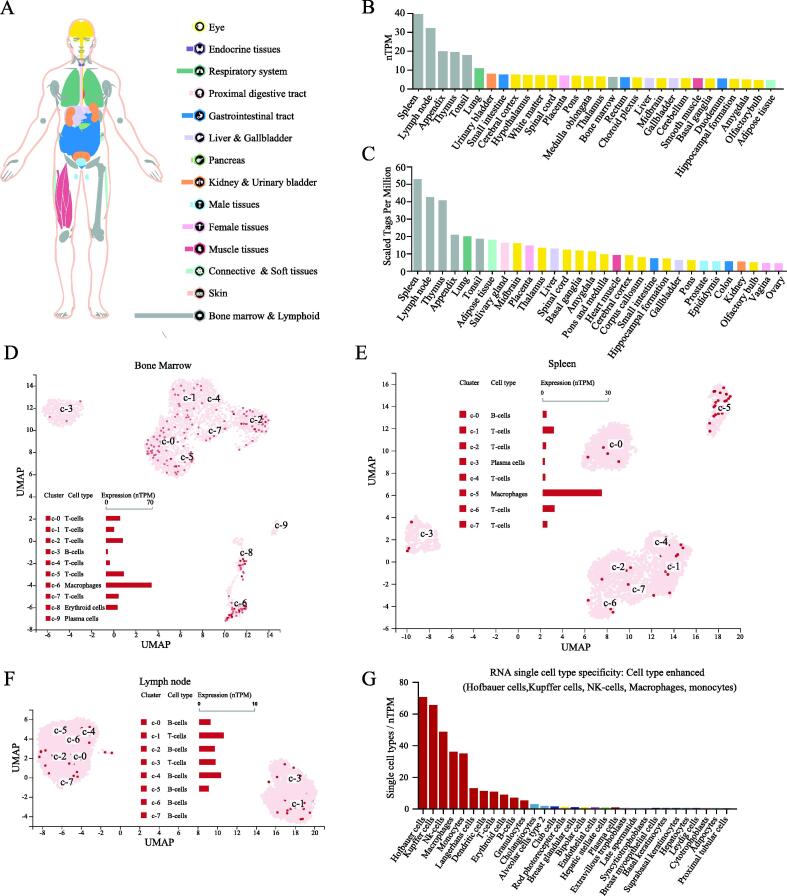 PMC9508481 – f0005