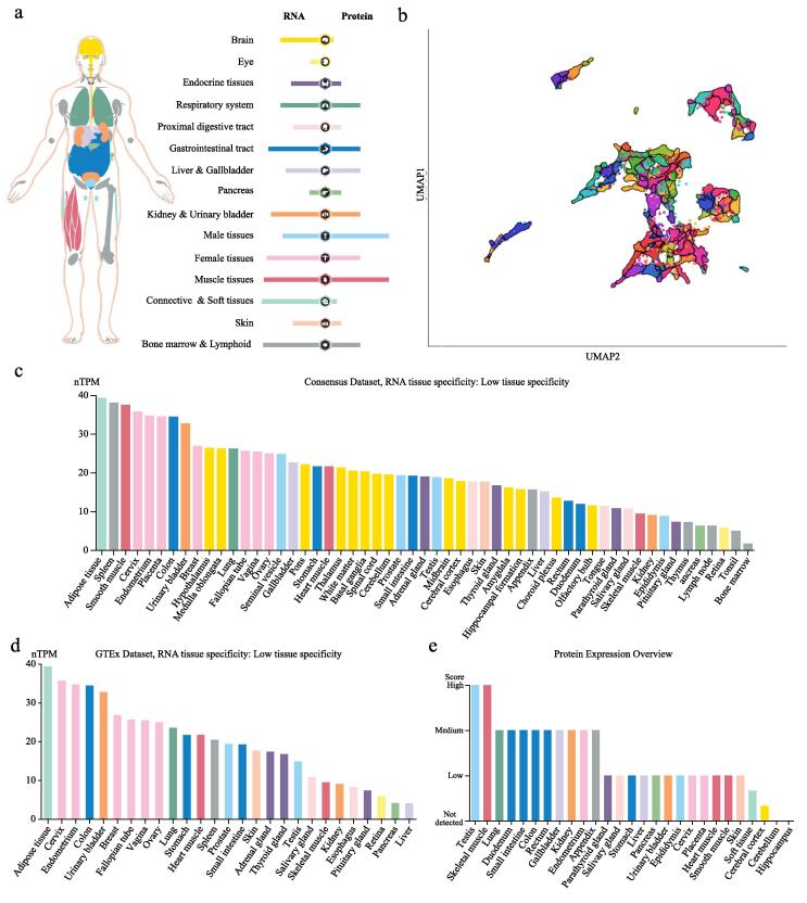 PMC9234055 – f0005