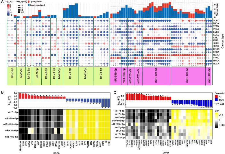 PMC7280754 – f0005
