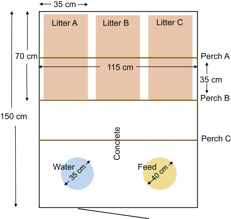 PMC7858165 – fig1
