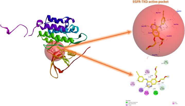 PMC10148140 – fig1
